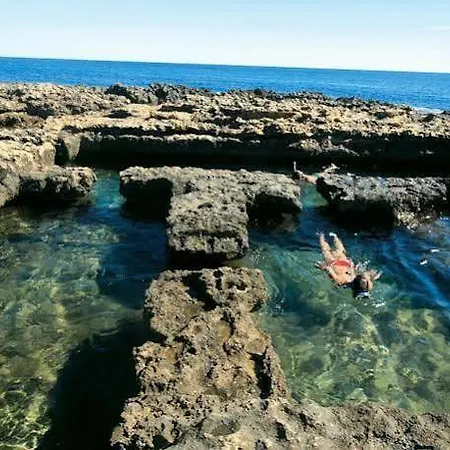 La Familia Gallo Rojo 4*